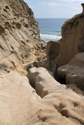 Ho Chi Minh Trail high trail in San Diego